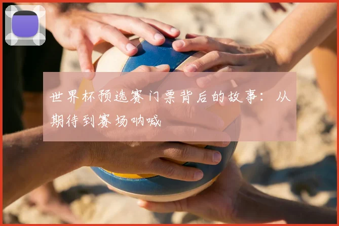 世界杯预选赛门票背后的故事：从期待到赛场呐喊