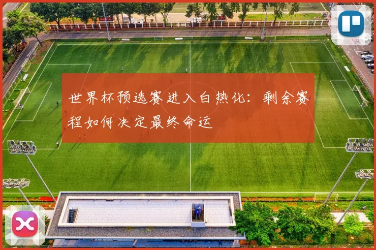世界杯预选赛进入白热化：剩余赛程如何决定最终命运