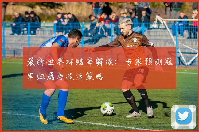 最新世界杯赔率解读：专家预测冠军归属与投注策略