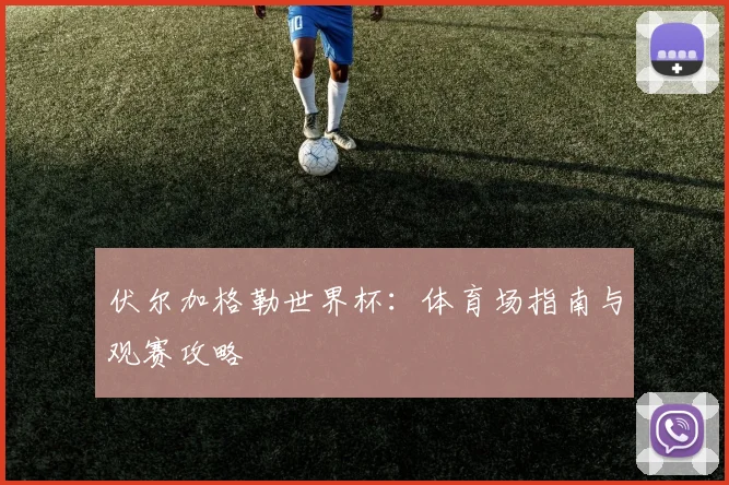 伏尔加格勒世界杯：体育场指南与观赛攻略