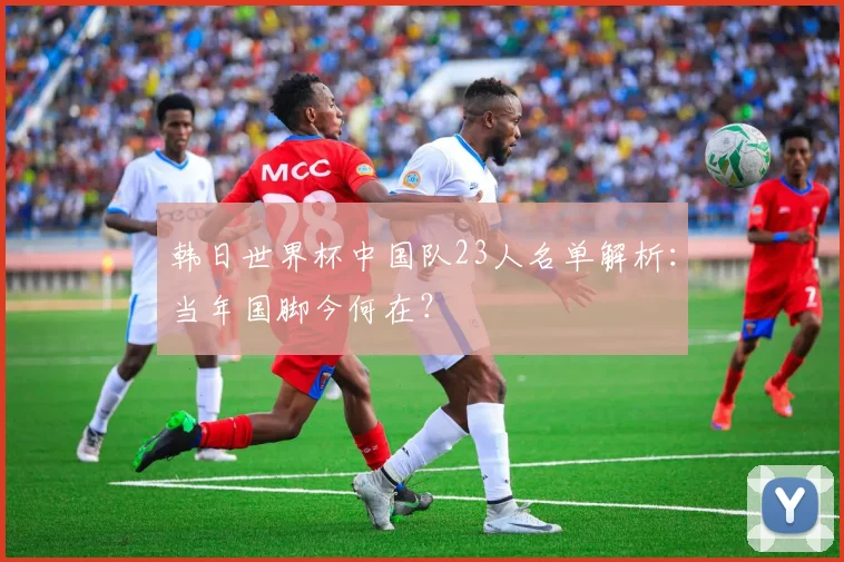 韩日世界杯中国队23人名单解析：当年国脚今何在？